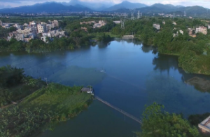 紅瓜子文化傳媒-沙瑯塘砥金精堂企業宣傳片_服務類企業宣傳片制作案例