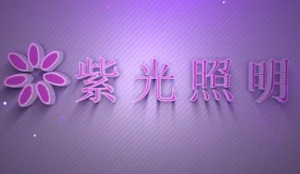 紅瓜子文化傳媒-紫光照明-企業宣傳片